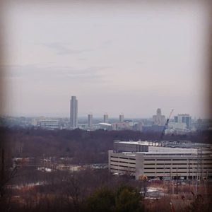 SEO-Albany-NY